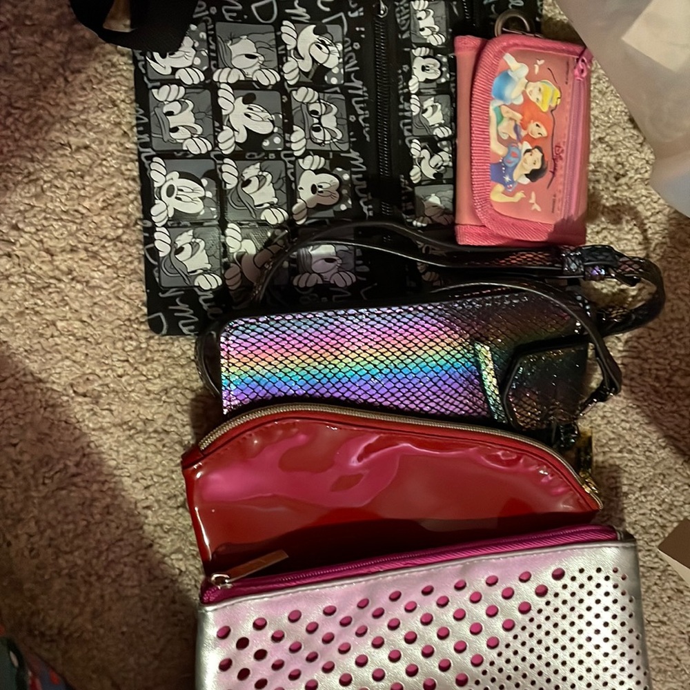 Disney Walmart and Clinique and estee launder cosmetic bag